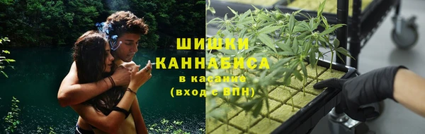 mdpv Козловка