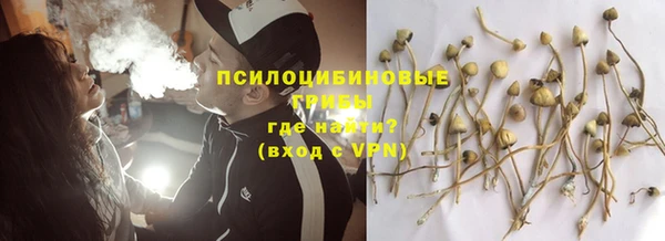 прущие крисы Кодинск