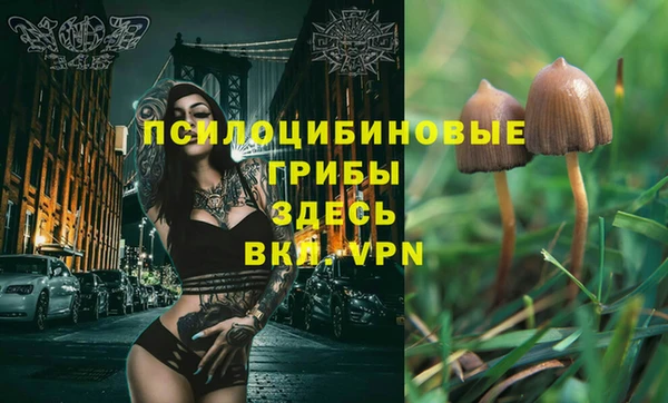 гидра Козельск