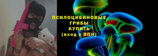 гидра Козельск