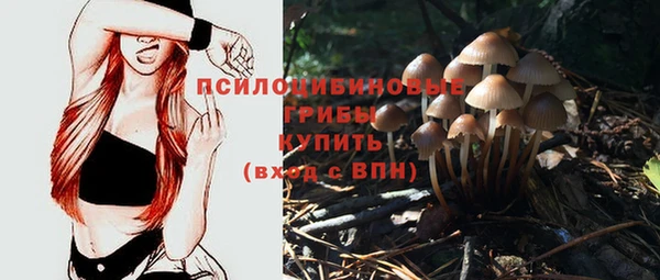 гидра Козельск