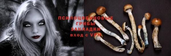гидра Козельск
